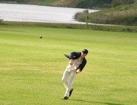 cricket-fielding.jpg