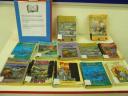 2009-library-display