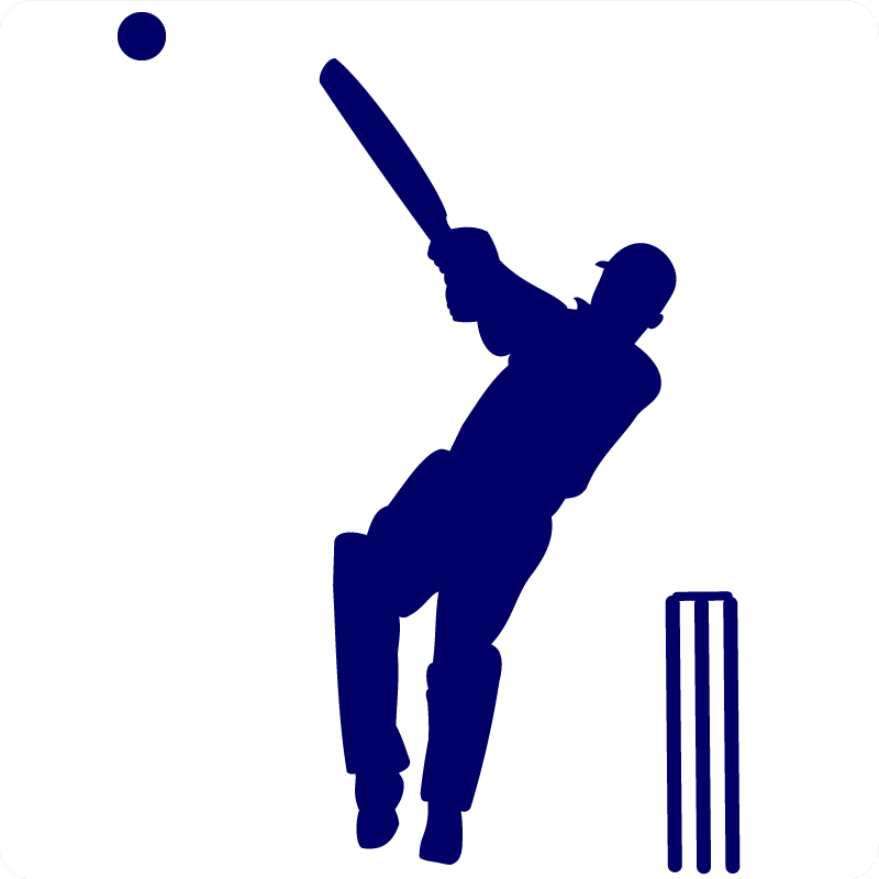 Cricket-hit-wall-sticker1