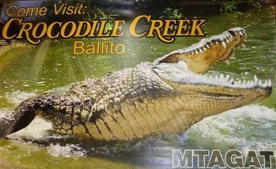 crocodile creek