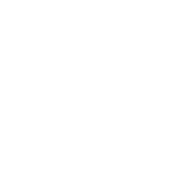 Domino Servite School