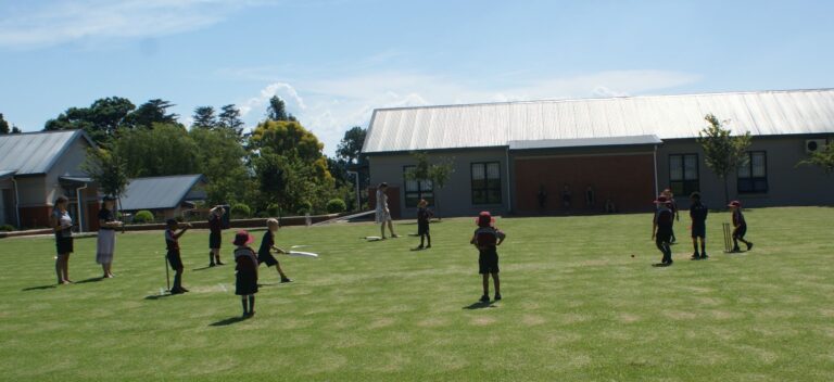 MINI CRICKET VS NHP