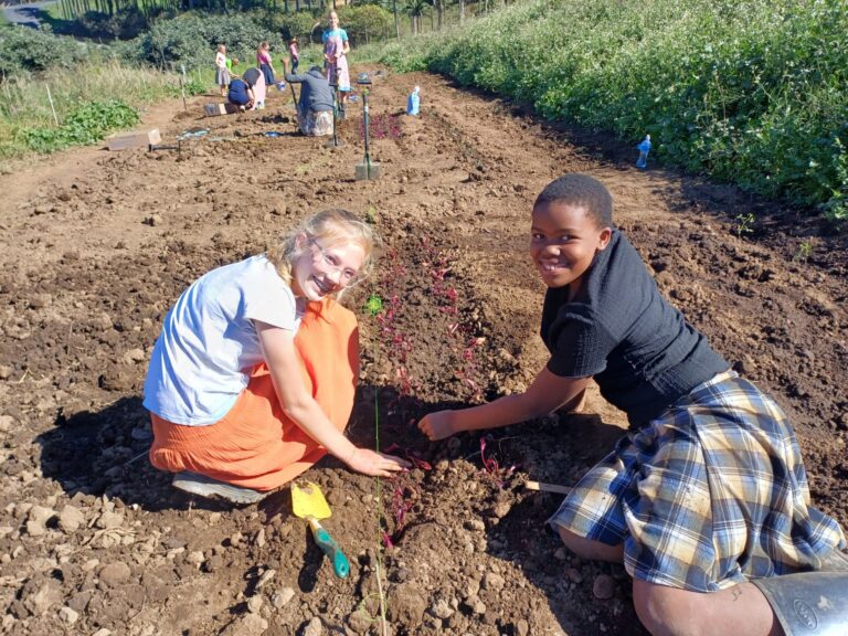 CARRYING ON & PLANTING