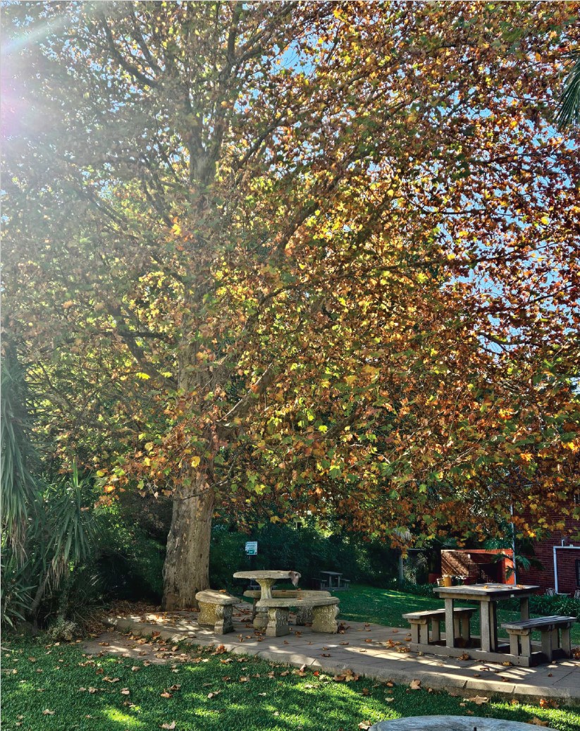 autumn