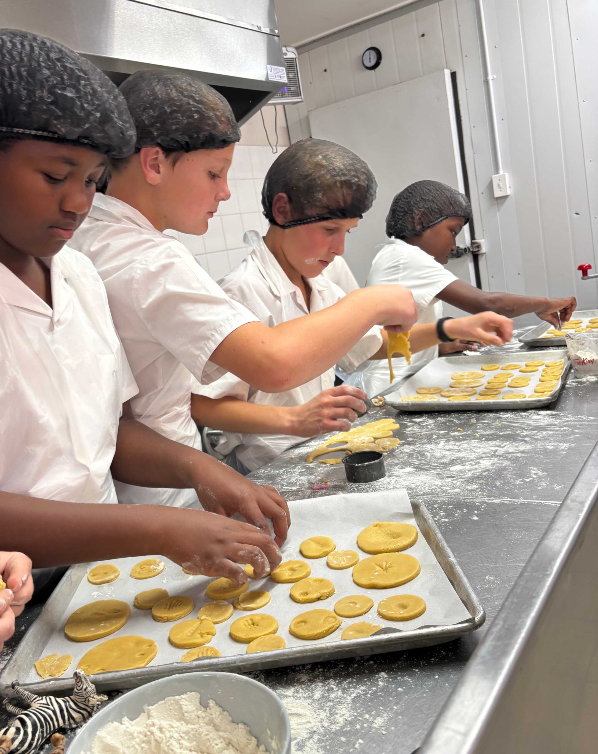Fossil cookies